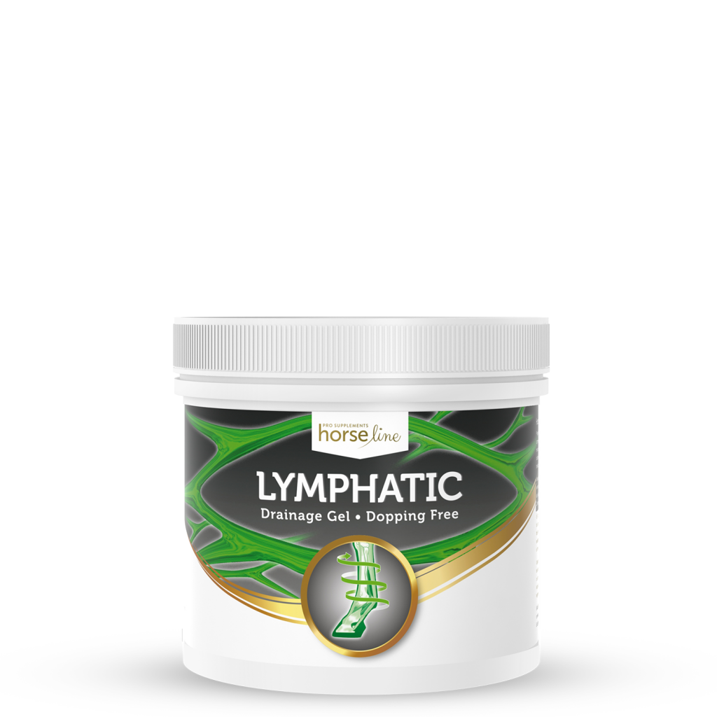 Lymphatic Gel - post-workout regeneration | HorseLinePRO